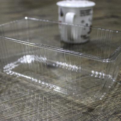 Khay nhựa PET đựng bánh pía L05